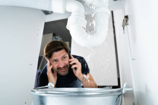 Best Emergency Plumber  in Waverly, MN